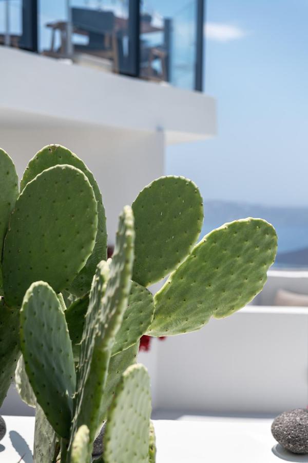 Akra Suites & Spa Imerovigli  Exterior photo